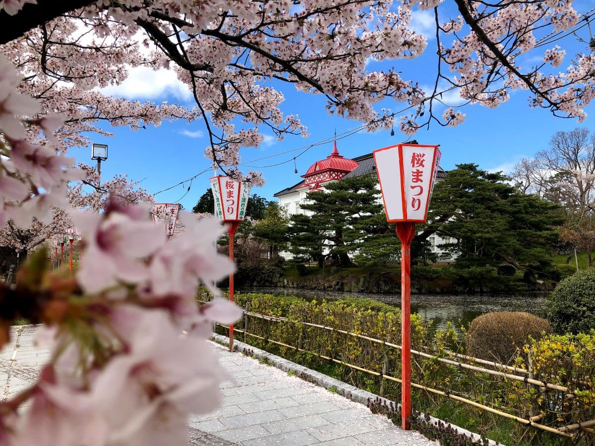 Tsuruoka Park: A Garden Steeped in History, Culture, and the Fragrance of Cherry Blossoms