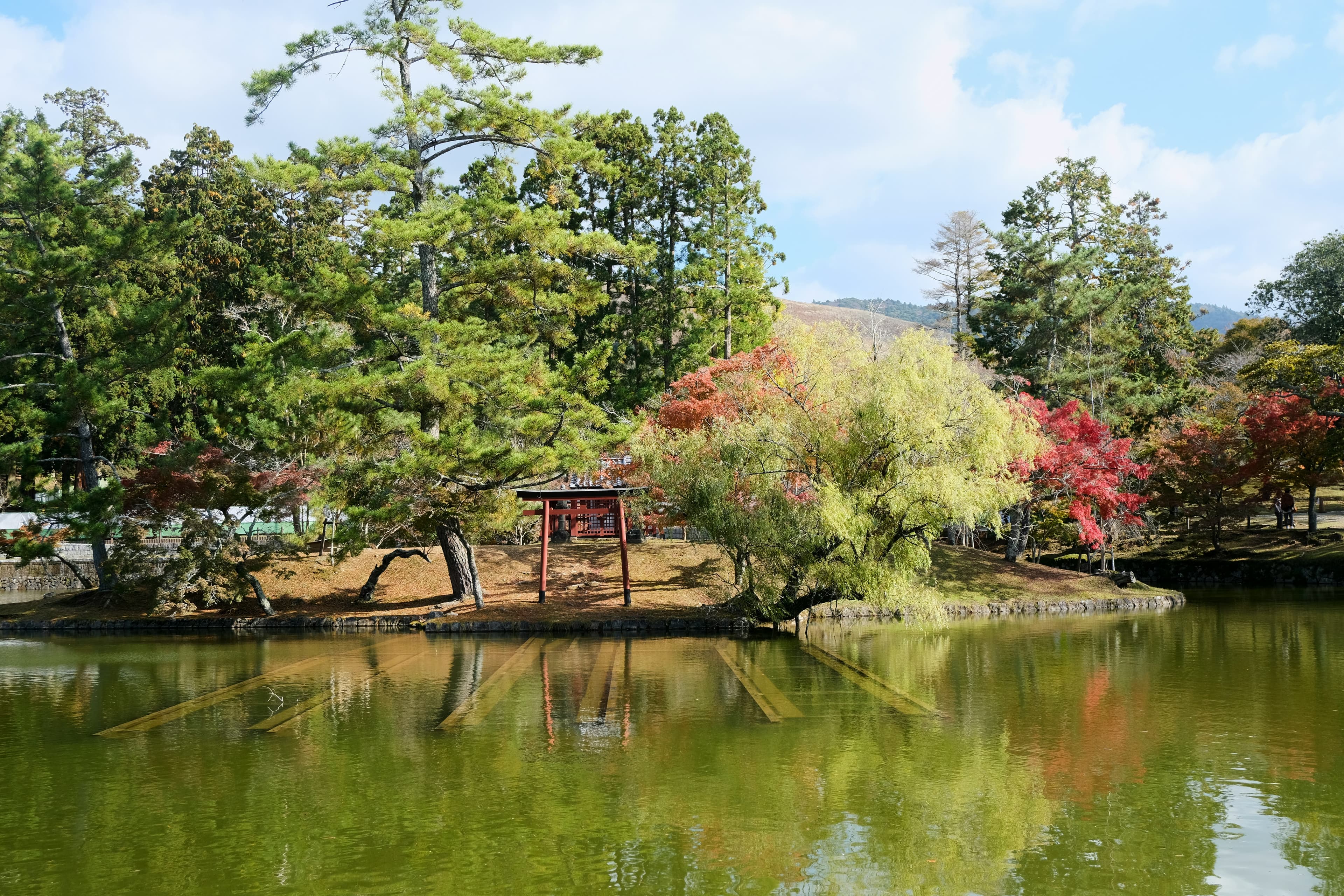 Discover Nara Park's Secret: The Serene 'Kutsurogi Hiroba'