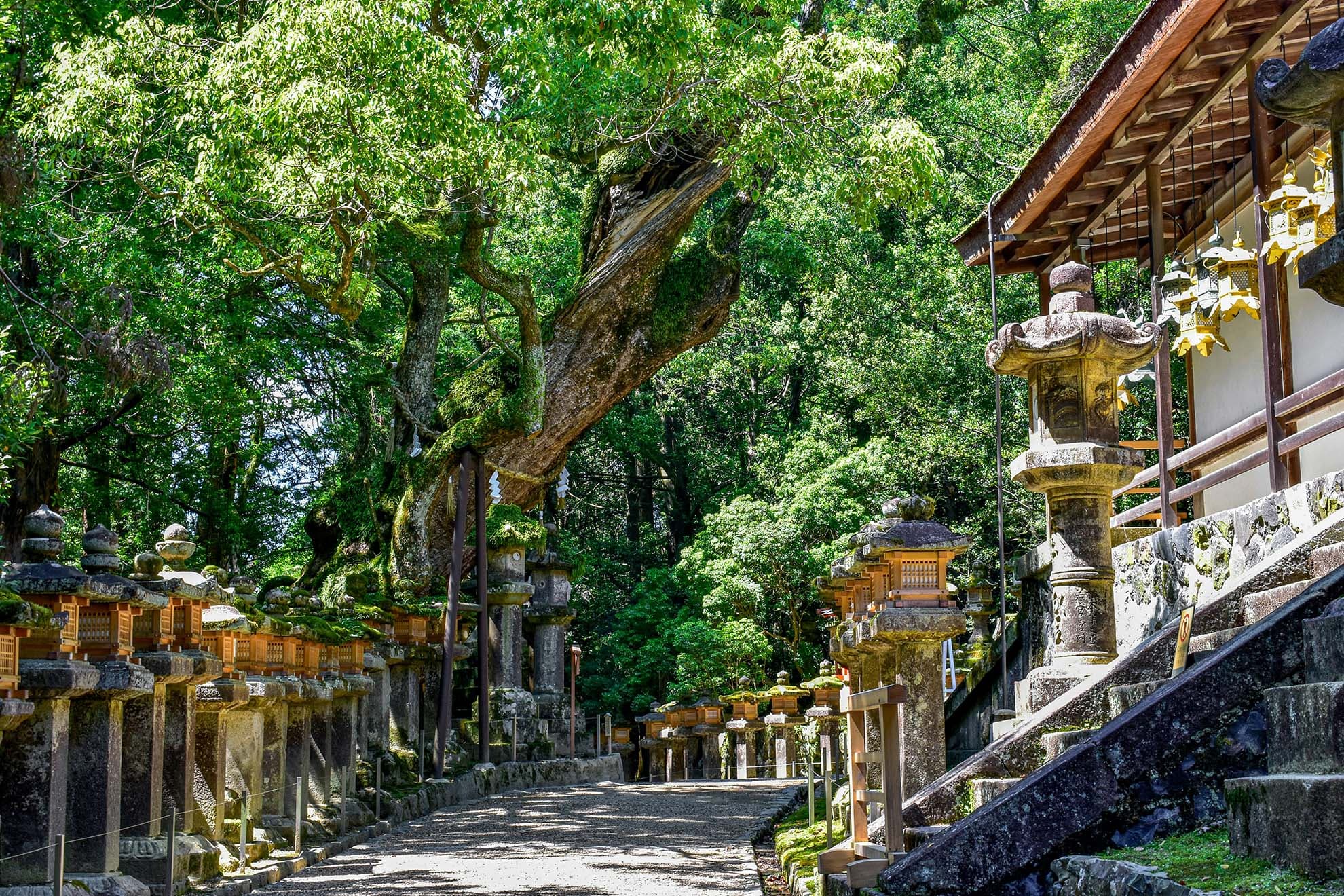 Kasuga Taisha Shrine