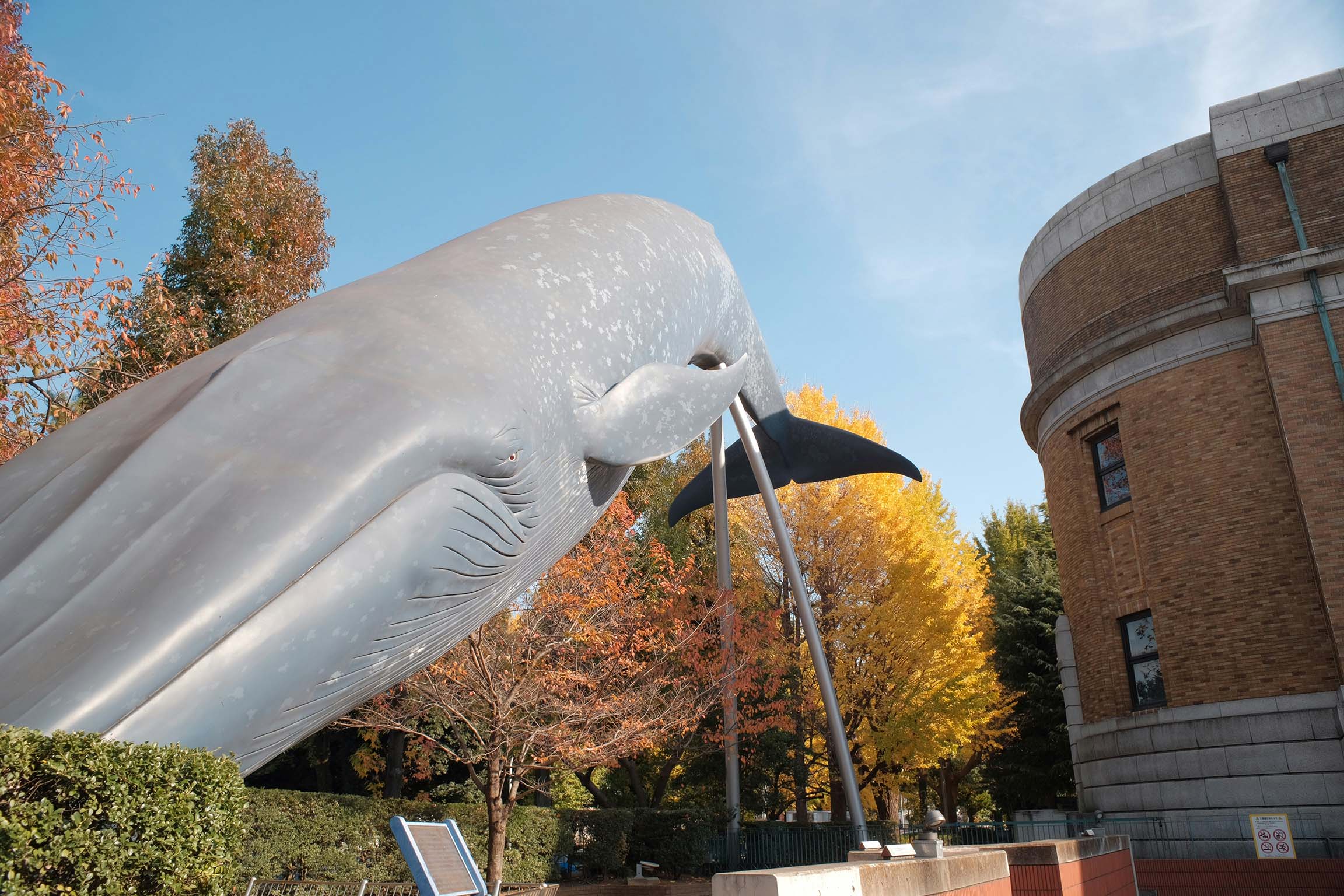 Tokyo National Museum